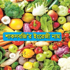 Vegetables Name in English Bangla