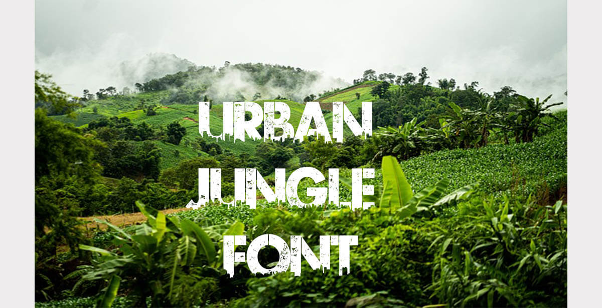 Urban Jungle Font