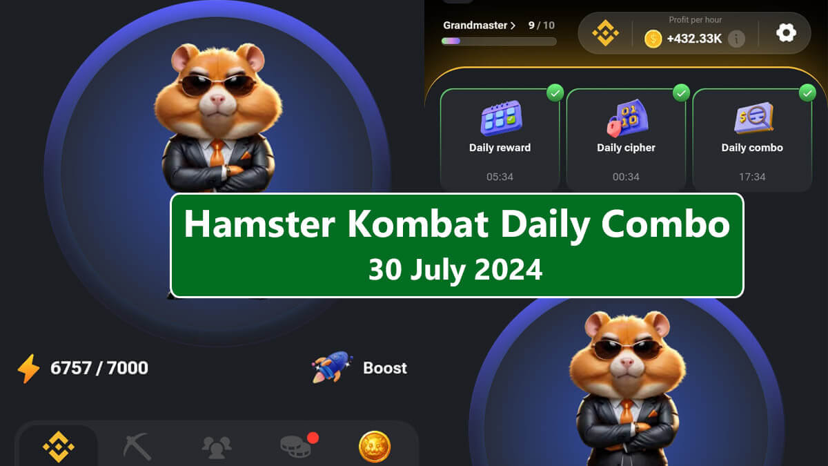 Hamster Kombat Daily Combo 30 July 2024