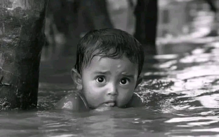 A image of a child amid Feni floods became a trending topic in Bangladesh is AI-generated