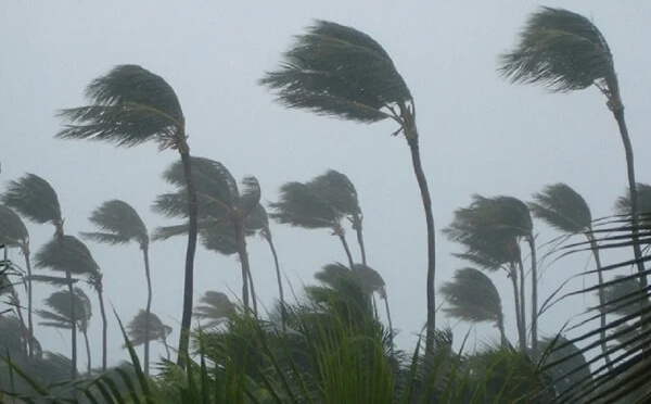 Storms of Up to 60 km/h Forecasted